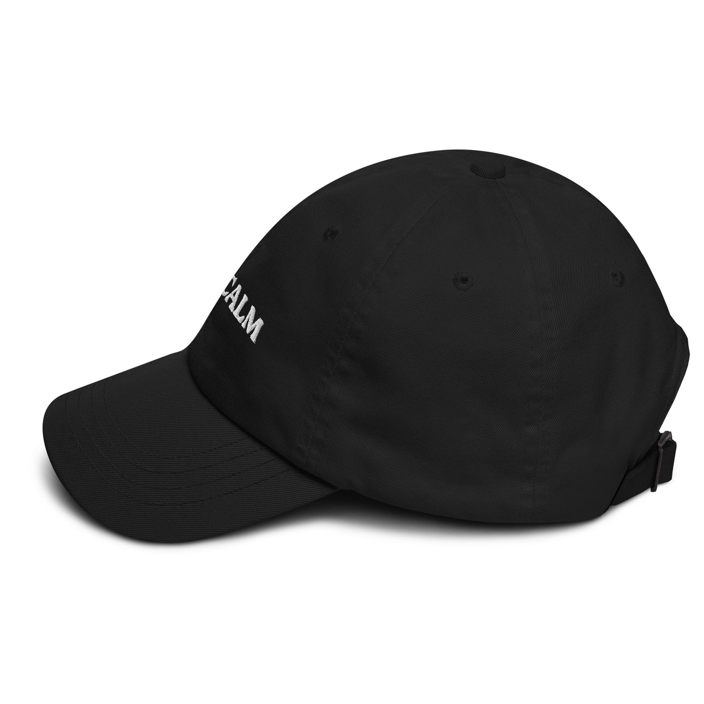 Dotcalm Dad Hat